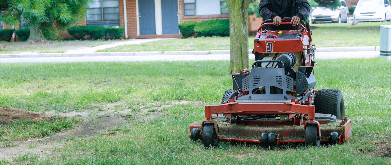 landscaping